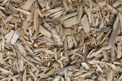 biomass boilers Dassels