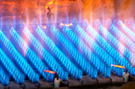 Dassels gas fired boilers